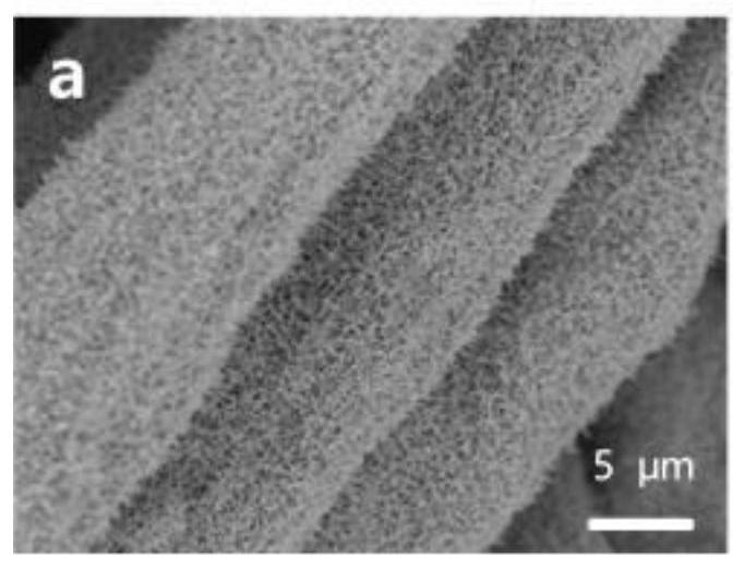 A phosphorus-doped tungsten sulfide@tungsten oxide porous core-shell nanowire flexible array electrode and its preparation method