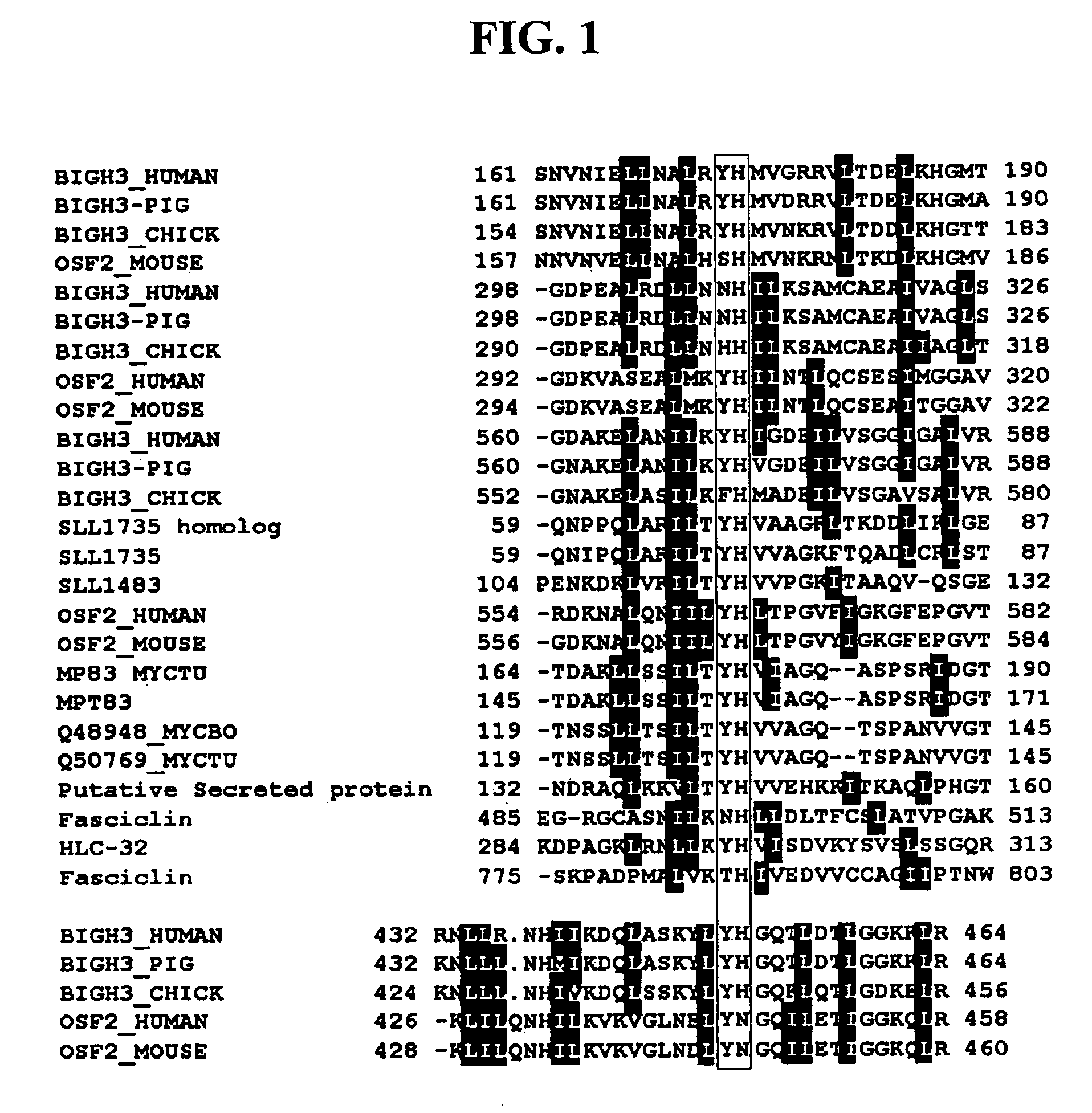 Imidazole derivative, process for producing the same, and use