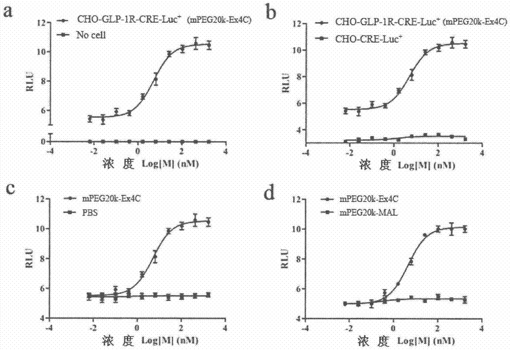 Method for determining receptor affinity of GLP-1 receptor agonist