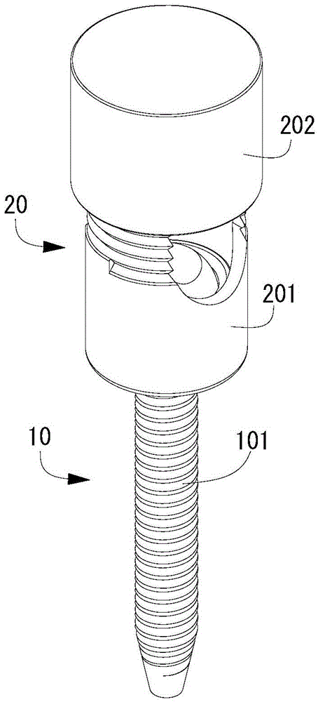 Iliac screw with bone induction material coating and spine fixing device