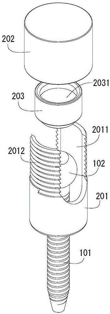 Iliac screw with bone induction material coating and spine fixing device