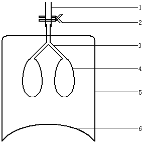 Diaphragm motion model for teaching and application thereof