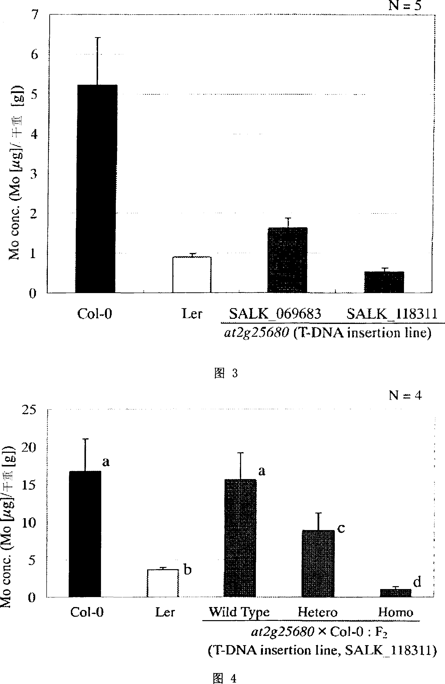 Molybdenum transporter and gene thereof