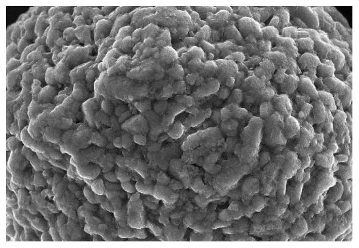 The preparation method of high -nickel tripular positive materials for lithium -ion batteries covered with lithium salt covered layers and lithium ion batteries