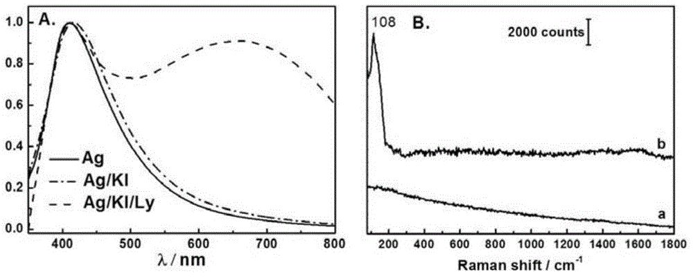 Method for enhancing Raman spectroscopy by anion modified nanoparticles