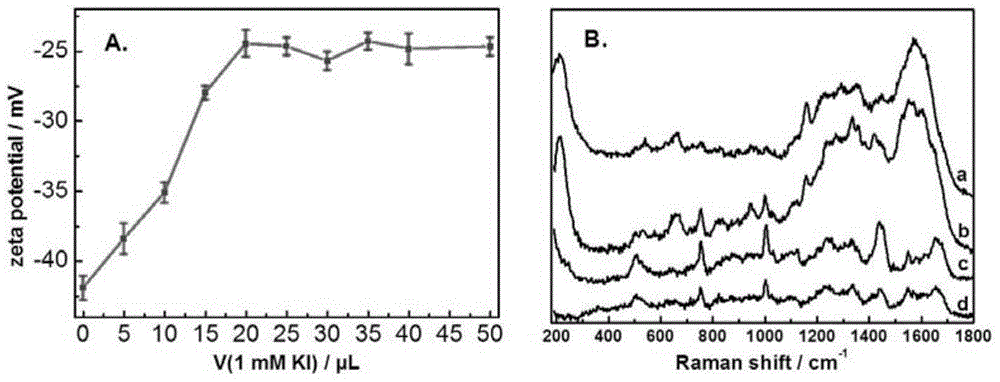 Method for enhancing Raman spectroscopy by anion modified nanoparticles