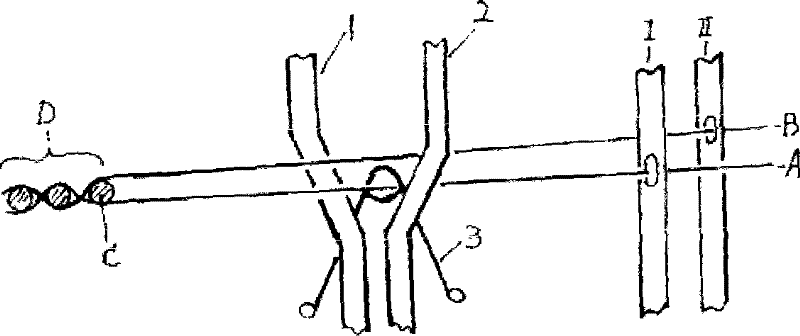 Method for weaving coating terylene industrial yarn doup structure sunshade screen