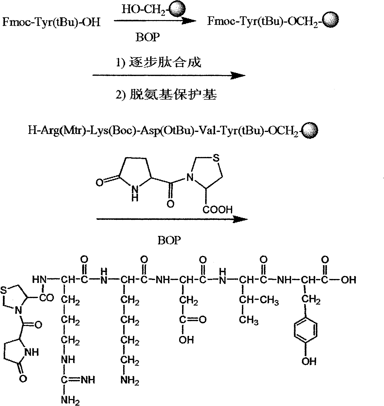 Heptapeptide prepared from thymopentin and pidotimod, and synthetic method