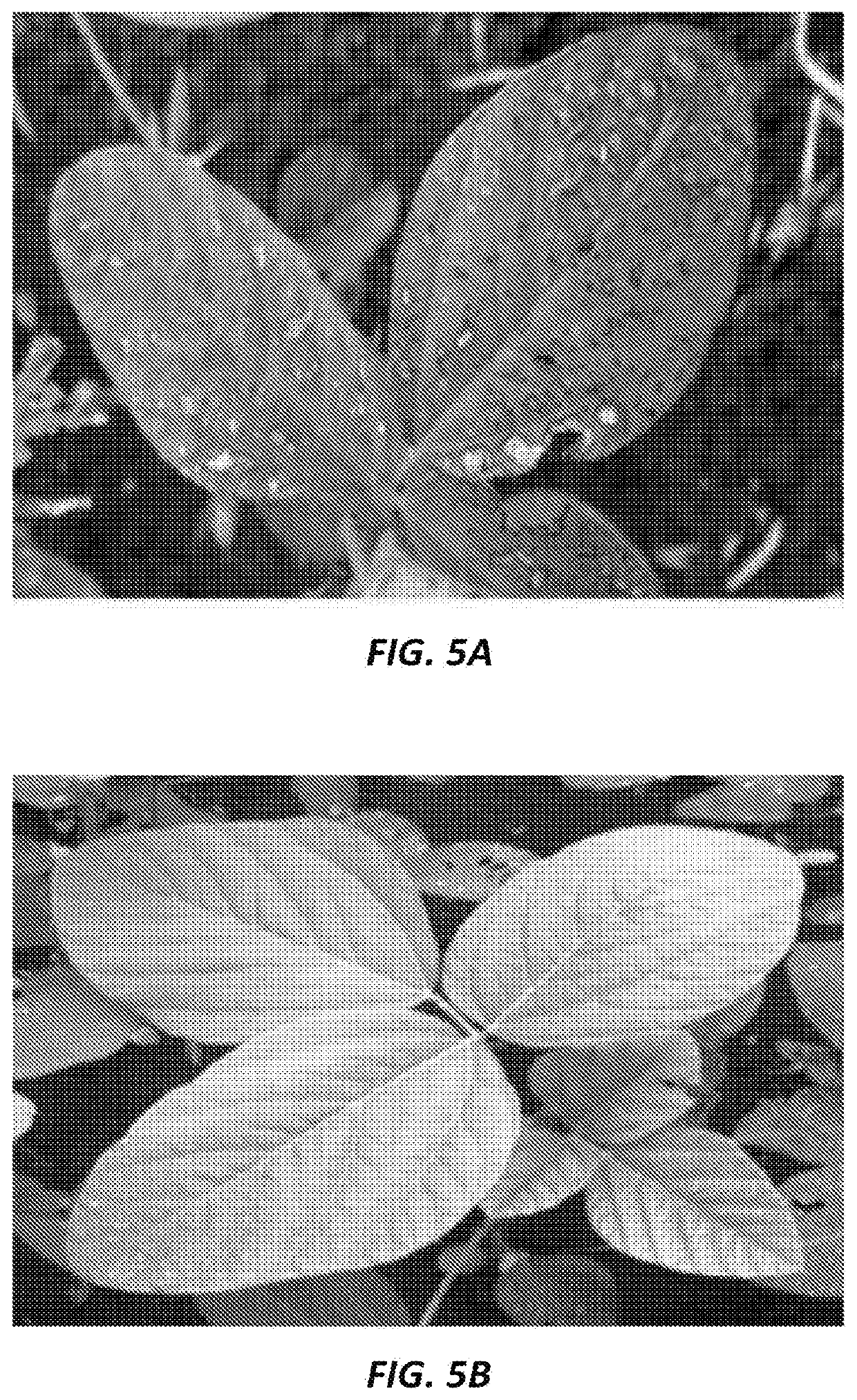 Compositions and Methods for Reducing Pesticide-Induced Plant Damage and Improving Plant Yield