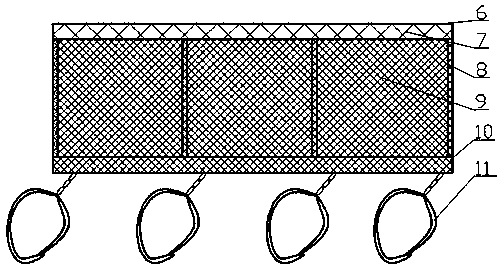 Feed grass water-planting device for gold ctenopharyngodon idellus and feed grass ecological cyclic aquaculture