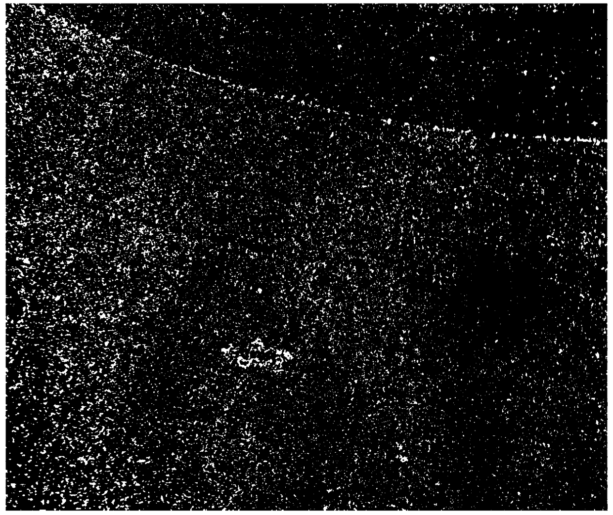 Optical material loaded with fluorescent microspheres and preparation method thereof