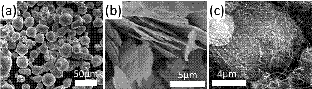 Powder metallurgy preparation method of carbon nanotube reinforced aluminum alloy composite material