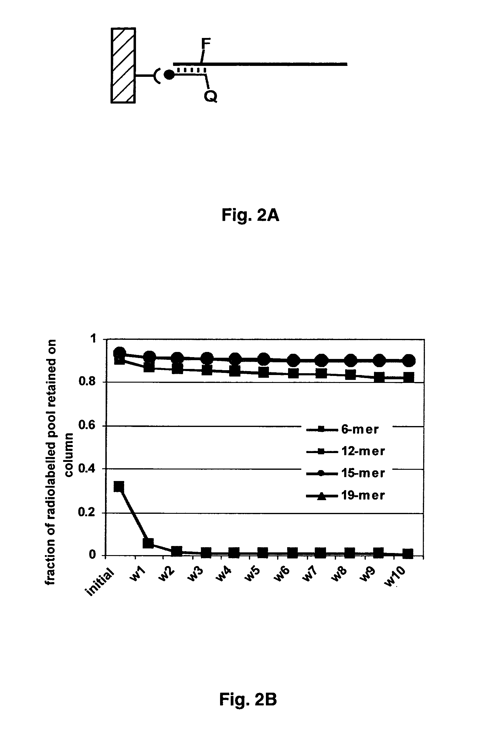 In vitro selection of aptamer beacons