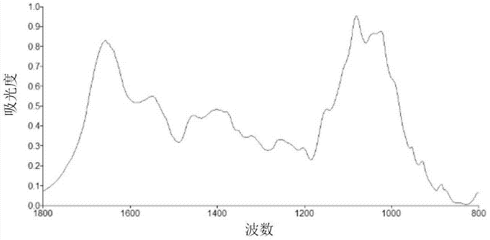 Infrared spectroscopic analysis and authentication method for cordyceps sinensis stromata