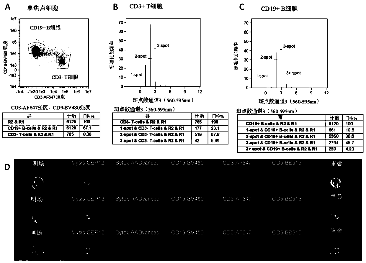 Improvements in or relating to cell analysis