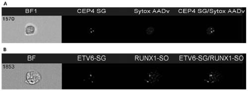 Improvements in or relating to cell analysis