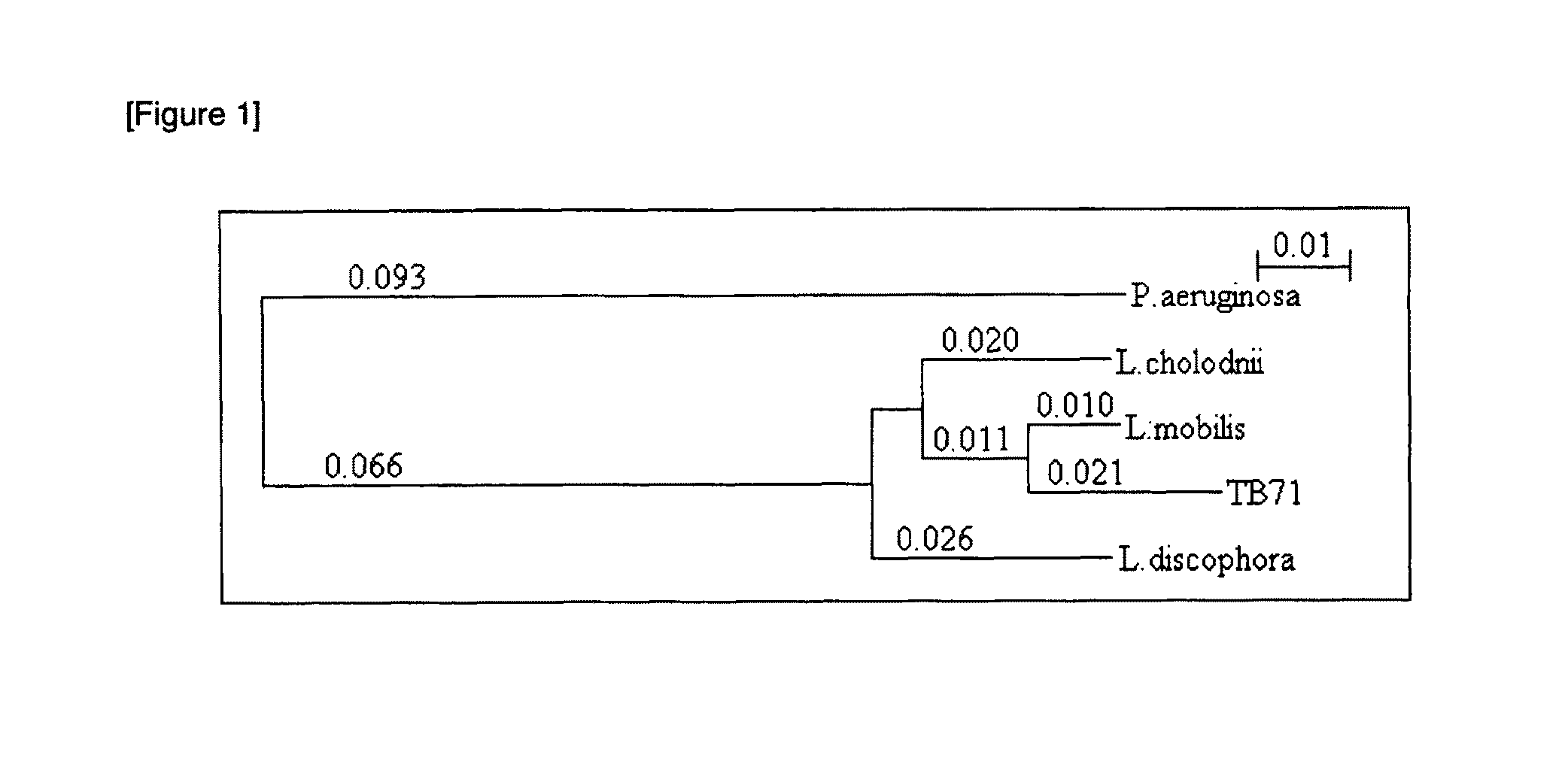 Polyester-based-plastic-degrading bacteria, polyester-based-plastic-degrading enzymes and polynucleotides encoding the enzymes