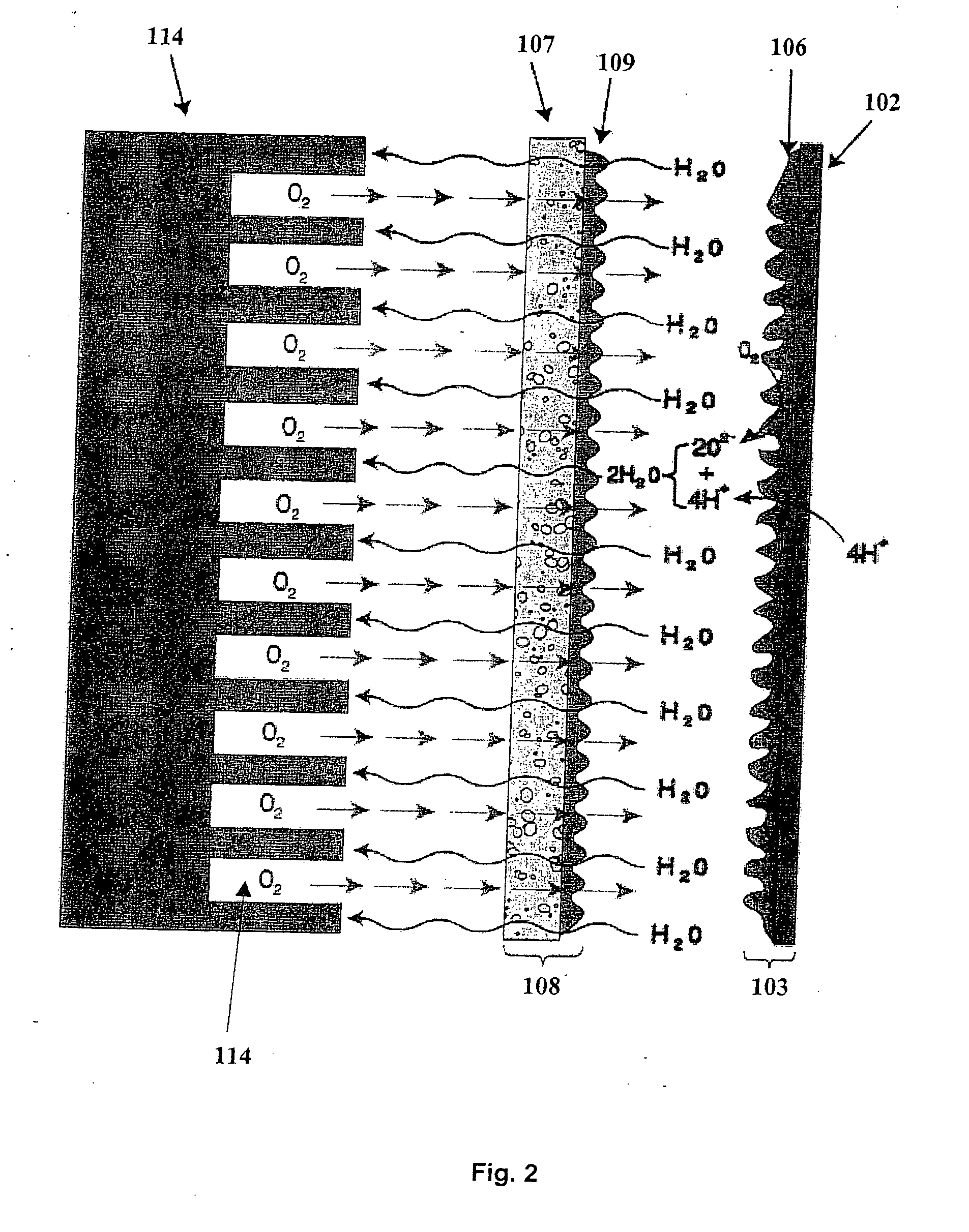 Modified carbon products, their use in proton exchange membranes and similar devices and methods relating to the same