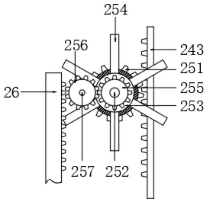 Orienting and sorting device for side flat type live fishes