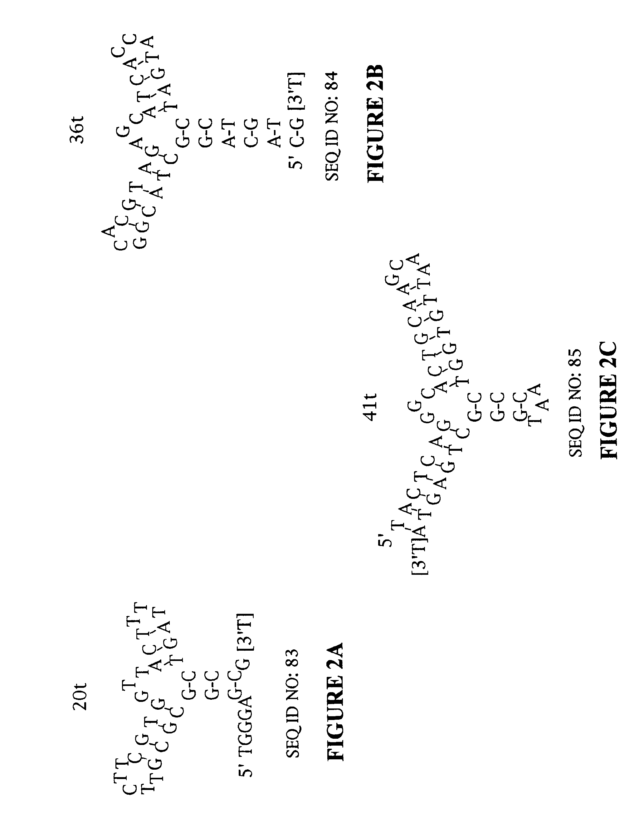 Platelet Derived Growth Factor (PDGF) Nucleic Acid Ligand Complexes
