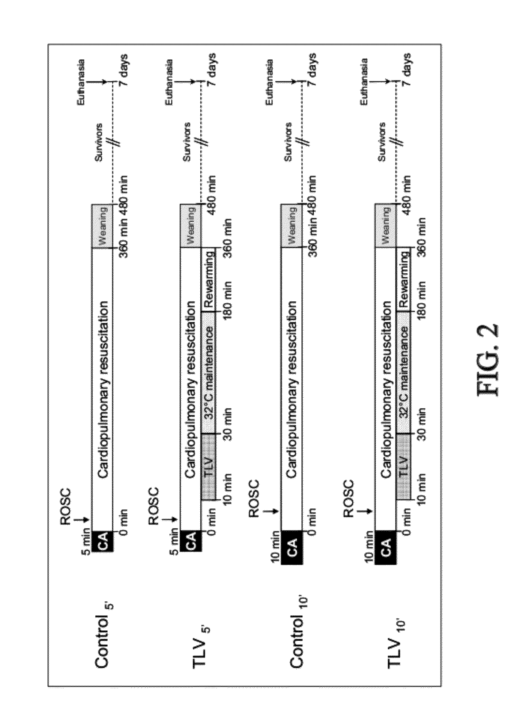 Method and System for Treatment of a Body of a Mammal in Cardiac Arrest