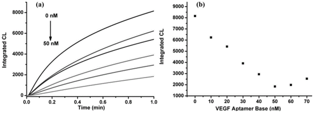 Aptamer and manganese porphyrin catalysis-based chemiluminescence protein detection method