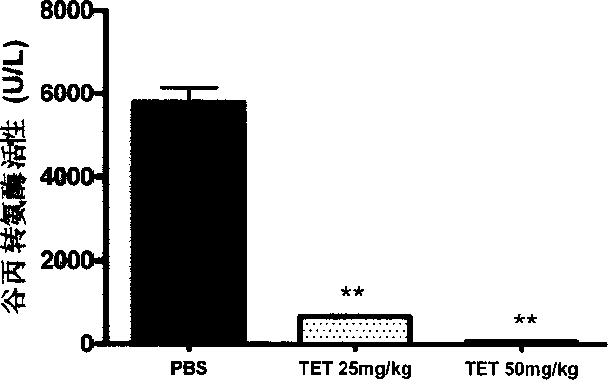 Function of tetrandrine in preparing  liver scathing-prevention medicament