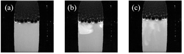 Experimental device and method for observing generation of hydrates promoted by microbubbles through nuclear magnetism