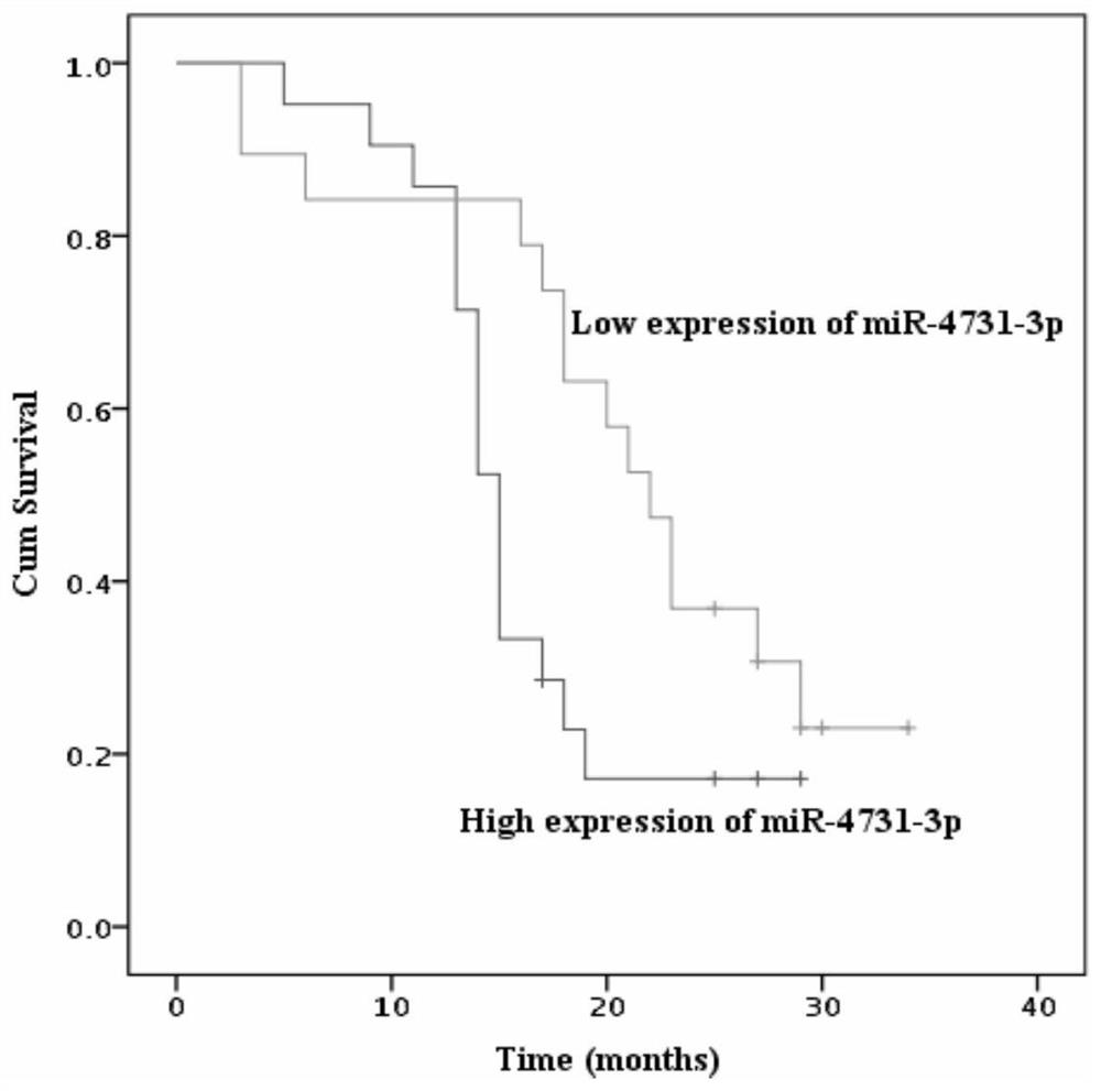 Application of miRNA-4731-3p as a diagnostic marker for primary lung cancer