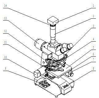 Automatic upright metallurgical microscope