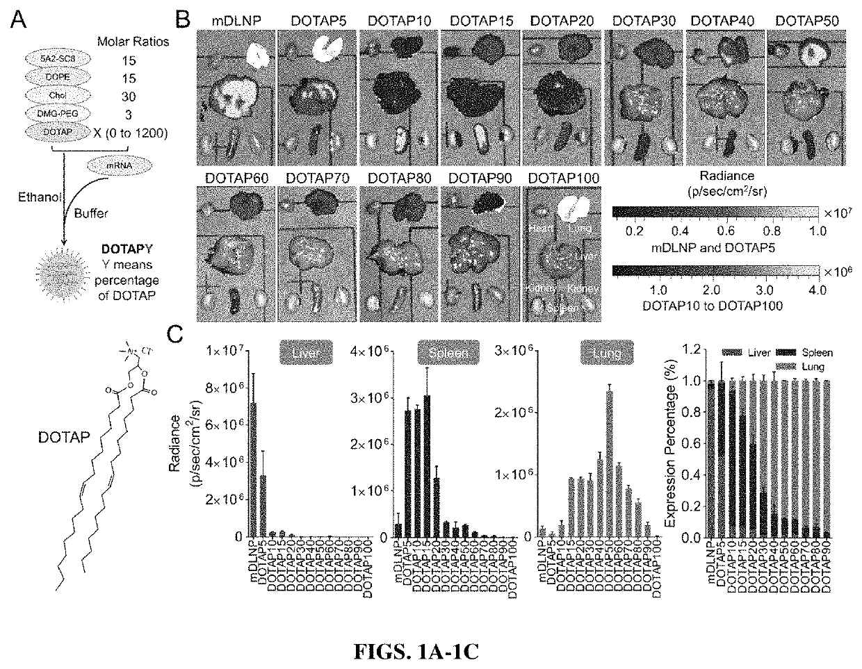 Compositions and methods for organ specific delivery of nucleic acids