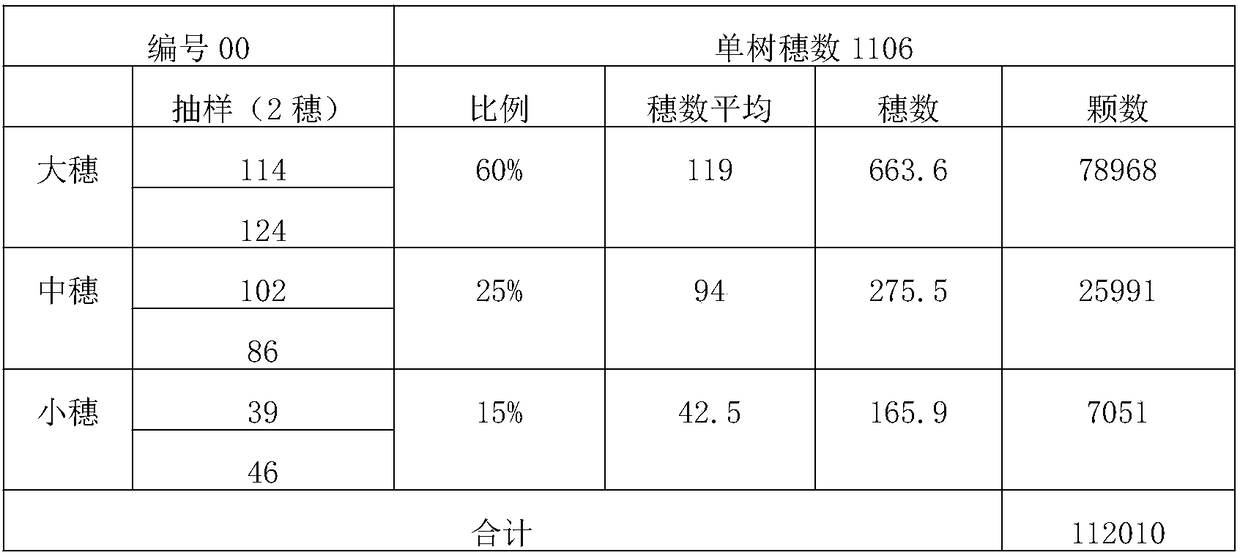 Method for cultivating piperis dahongpao