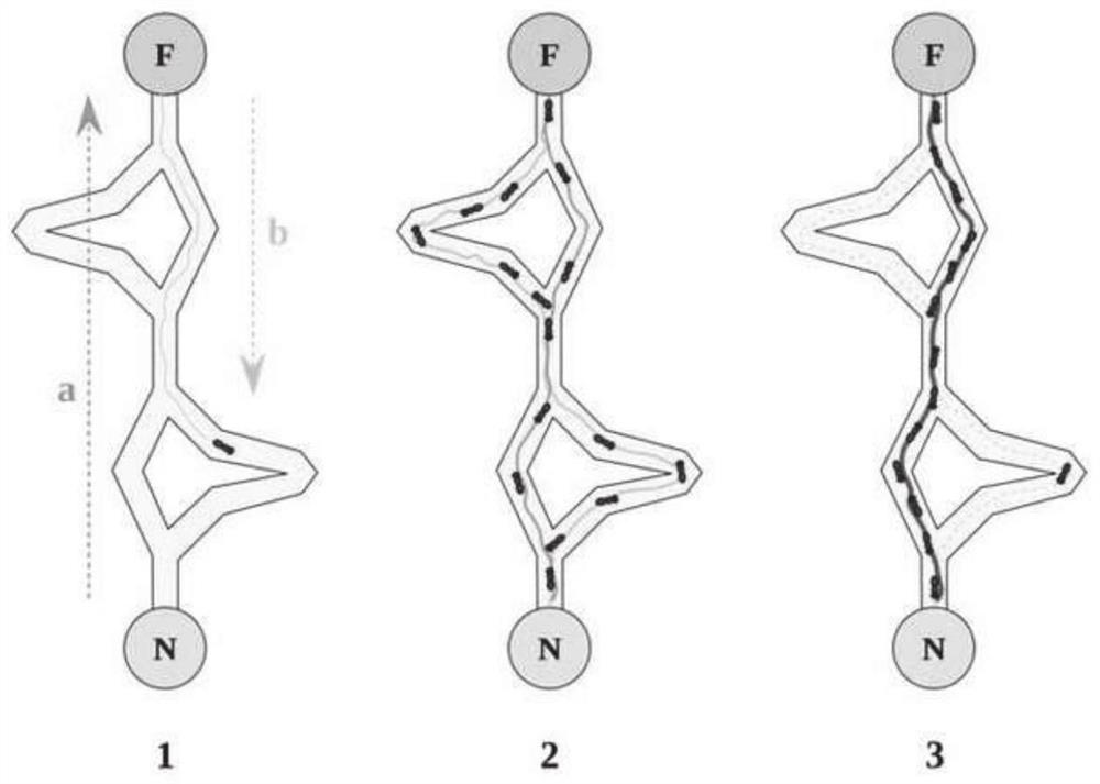 Ant colony graph matching method based on G-W distance