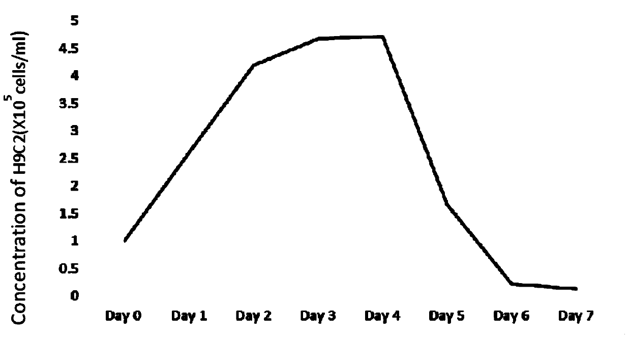 CHO (Chinese hamster ovary) cell strain for stably expressing human clotting factor VIII and application thereof