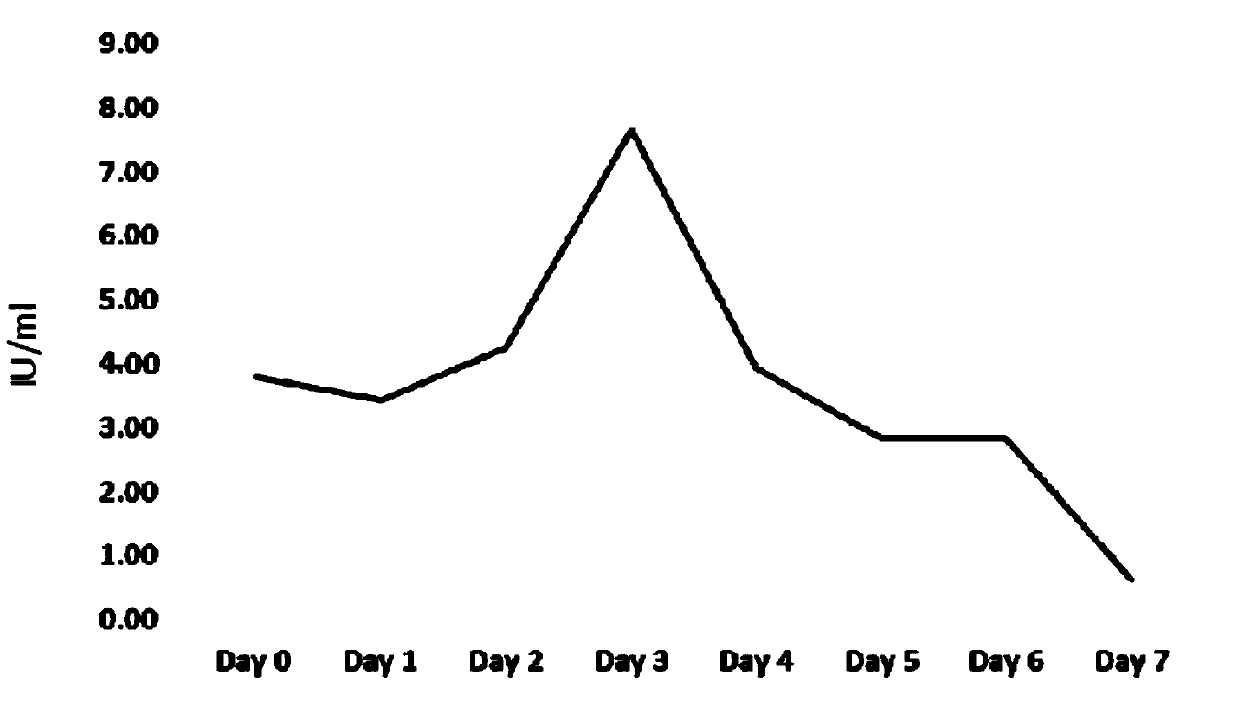 CHO (Chinese hamster ovary) cell strain for stably expressing human clotting factor VIII and application thereof