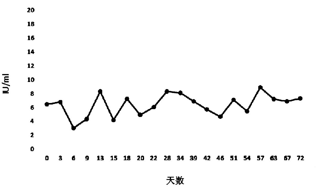 CHO (Chinese hamster ovary) cell strain for stably expressing human clotting factor VIII and application thereof