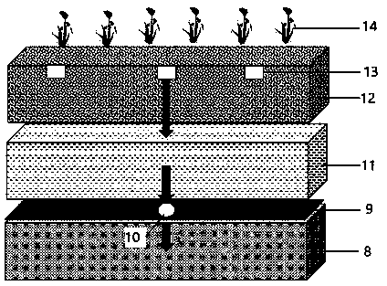 Ecological hand basket for sewage purification