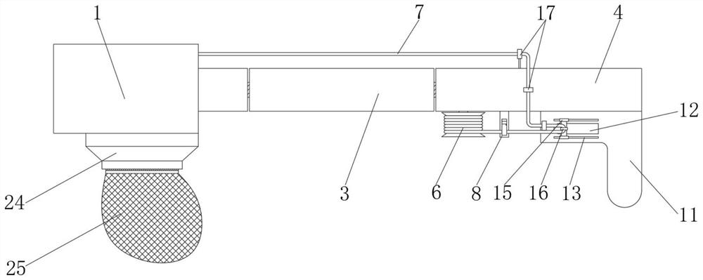 Grape planting device with adjustable function