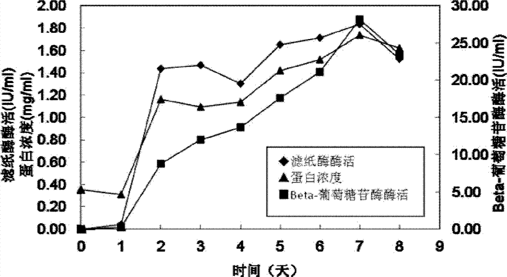 Celluase producing bacterium and application thereof