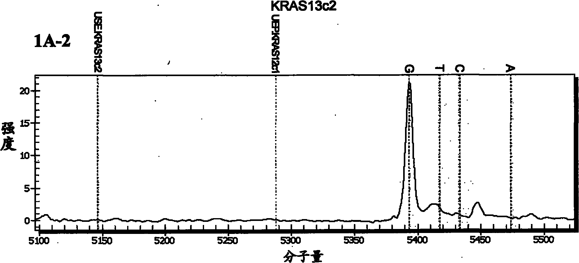 Detection method of nucleotide mutation points of KRAS gene and/or BRAF gene