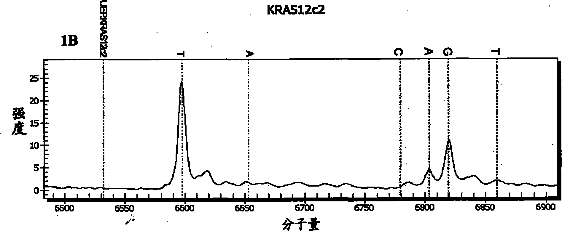 Detection method of nucleotide mutation points of KRAS gene and/or BRAF gene