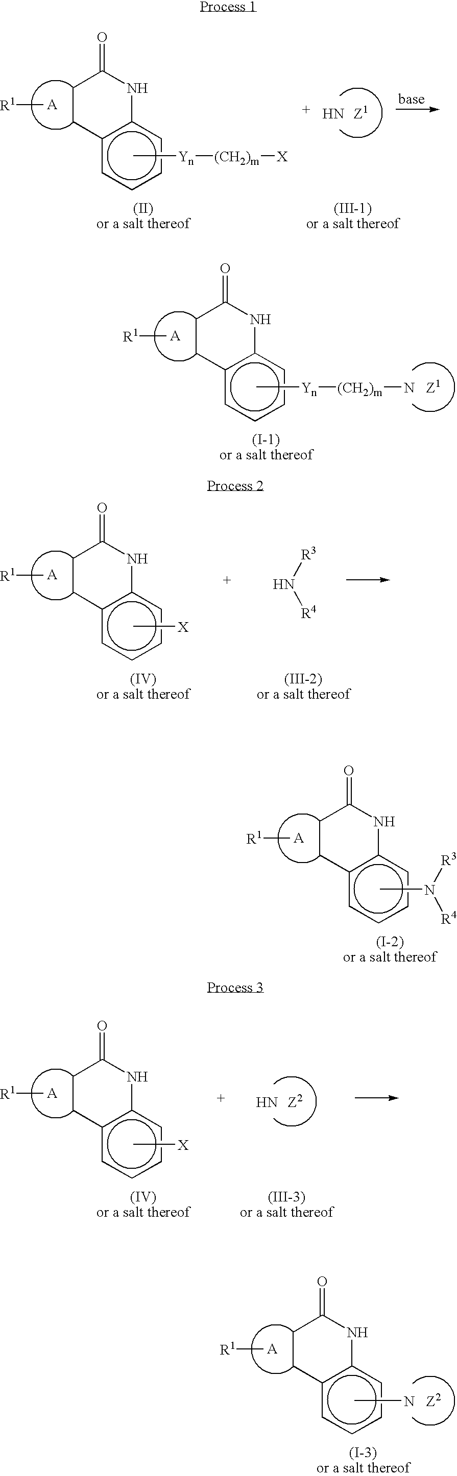 Phenanthridinones as parp inhibitors