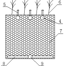 Ecological water slow-filtering and taking system