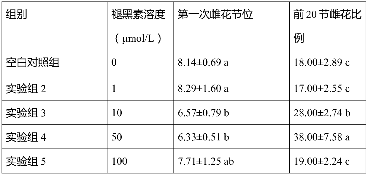 A method of increasing cucumber female flower rate by using melatonin