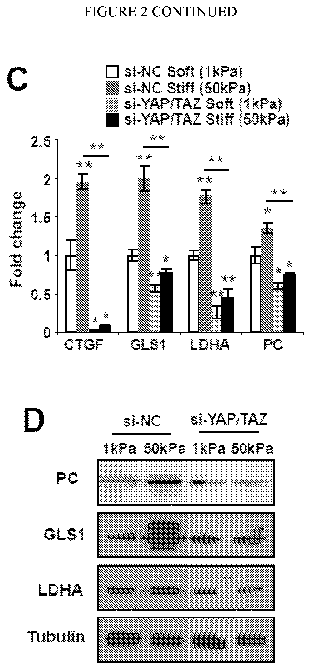 Compositions and methods for treating pulmonary vascular disease