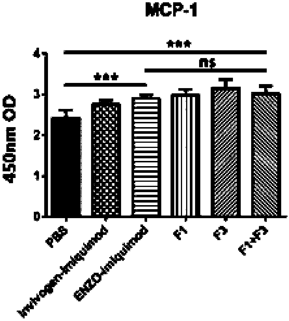 A combined medicine capable of improving the therapeutic effect of polypeptide vaccine on HPV infected tumor and application thereof