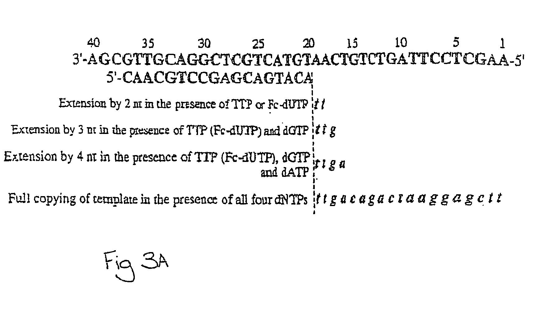 Enzymatic redox labelling of nucleic acids