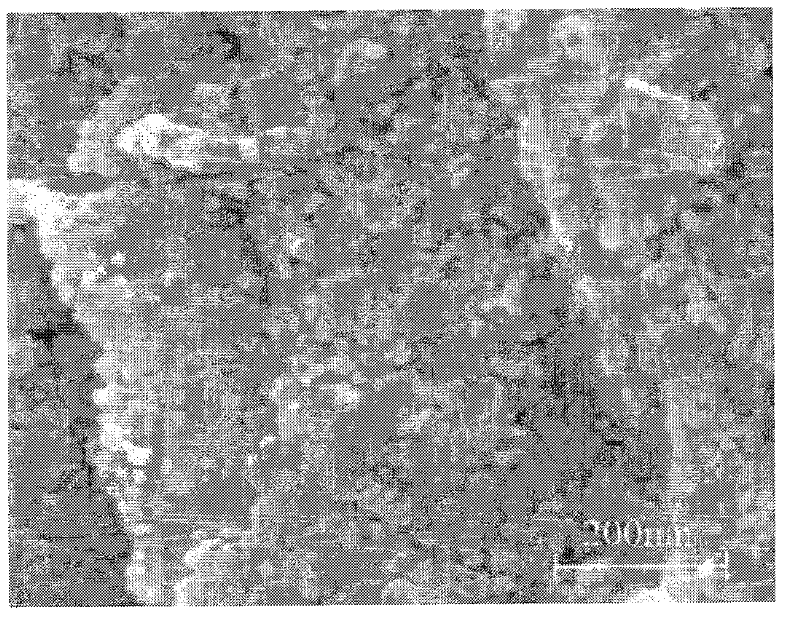 Dental implant with surface nanostructure and preparation method thereof