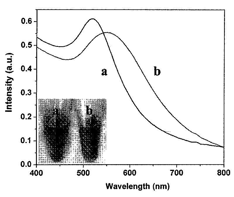 Lead ion colorimetric detection probes and application method thereof