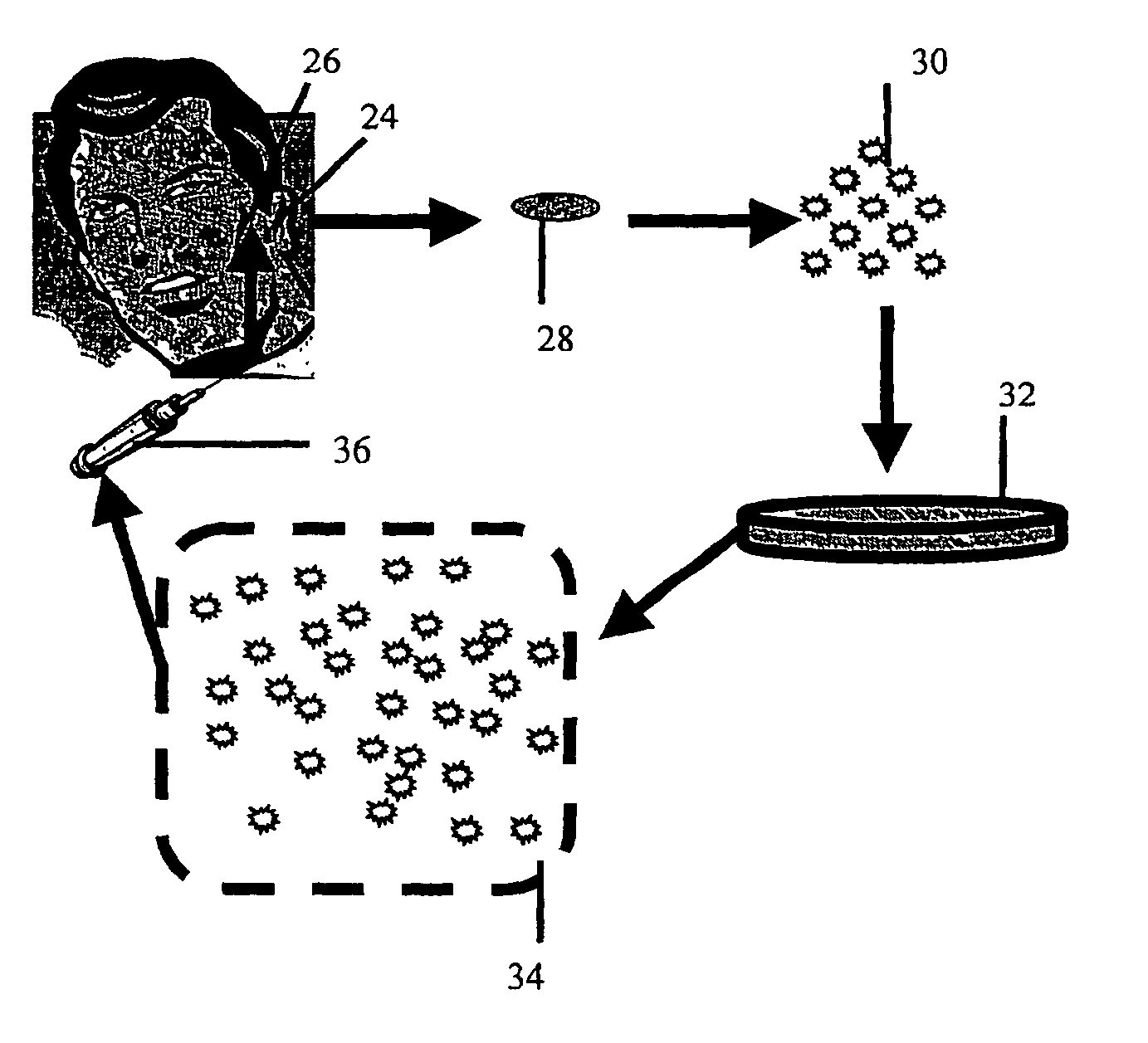 Cosmetic repair using cartilage producing cells and medical implants coated therewith